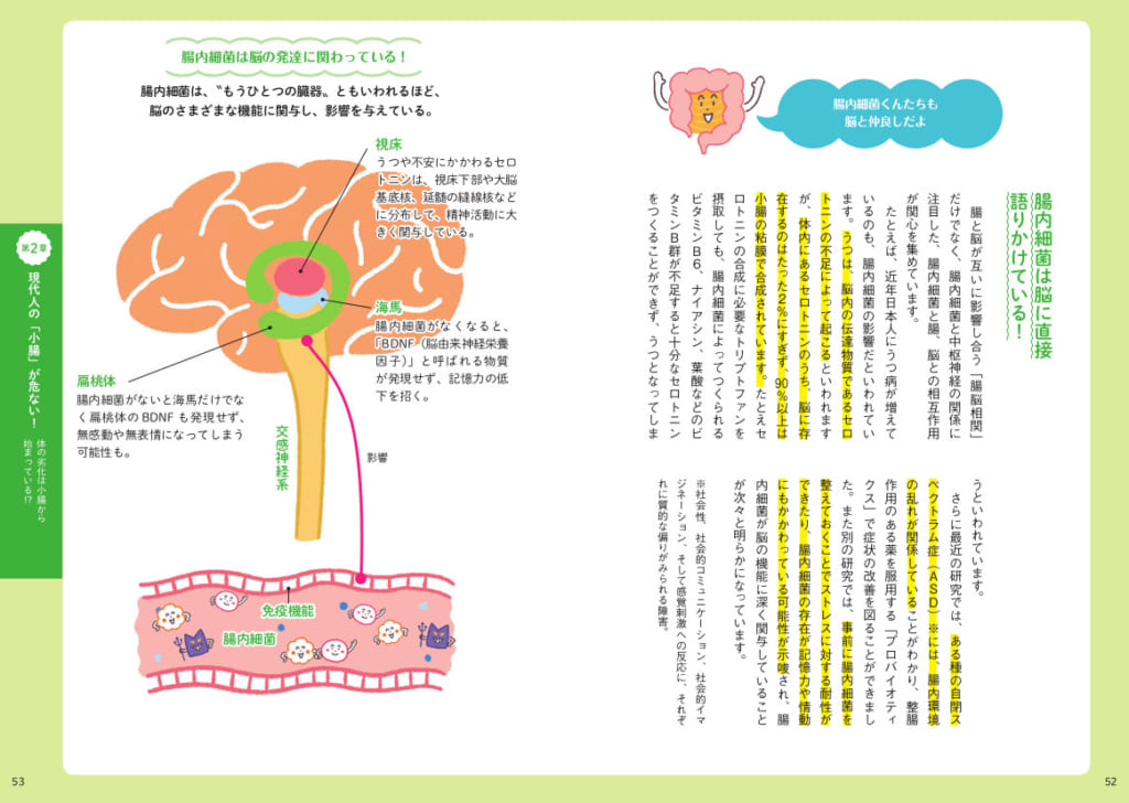 腸内細菌と脳の関係についても解説したページ。小腸だけでなく、それを取り巻く胃腸全般についても、様々な情報を紹介しています。