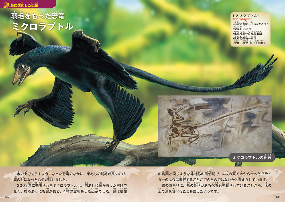 「鳥に進化した恐竜」紙面