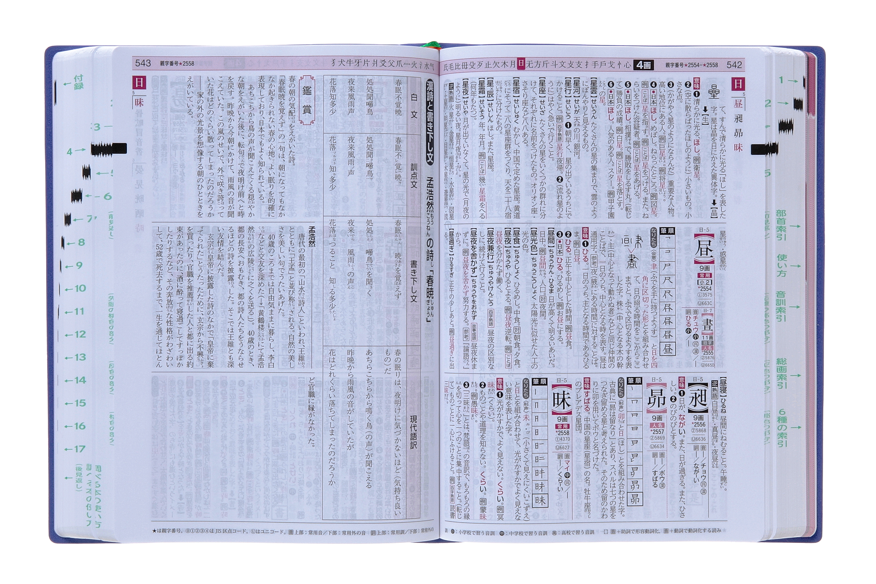「漢文と漢詩のコラムは１ページ大」紙面