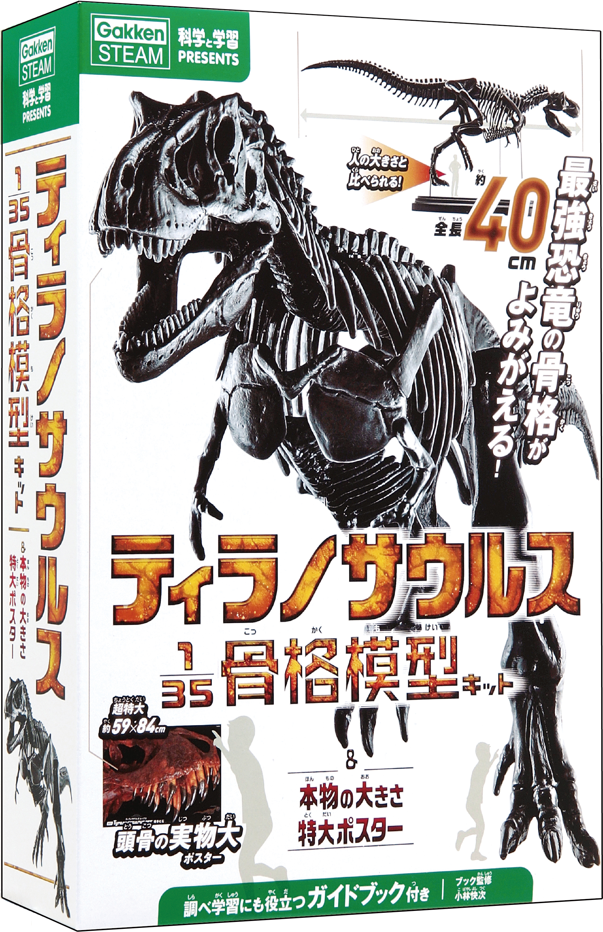 『科学と学習PRESENTS ティラノサウルス135骨格模型キット&本物の大きさ特大ポスター』書影