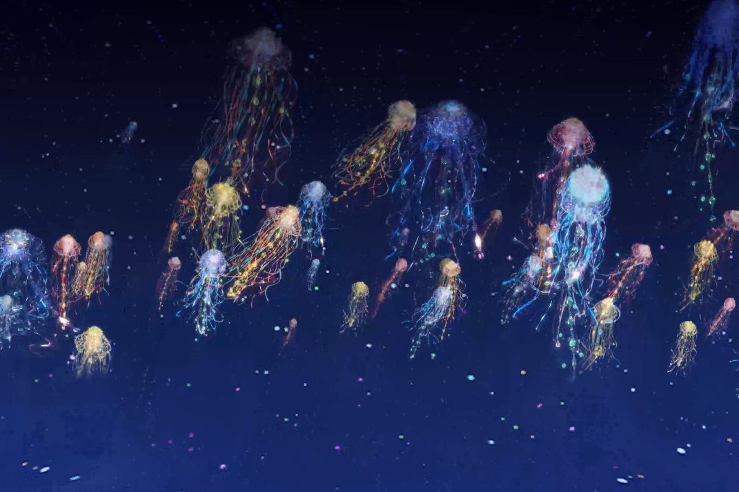 「海の旅を彩る美しいクラゲたち」画像