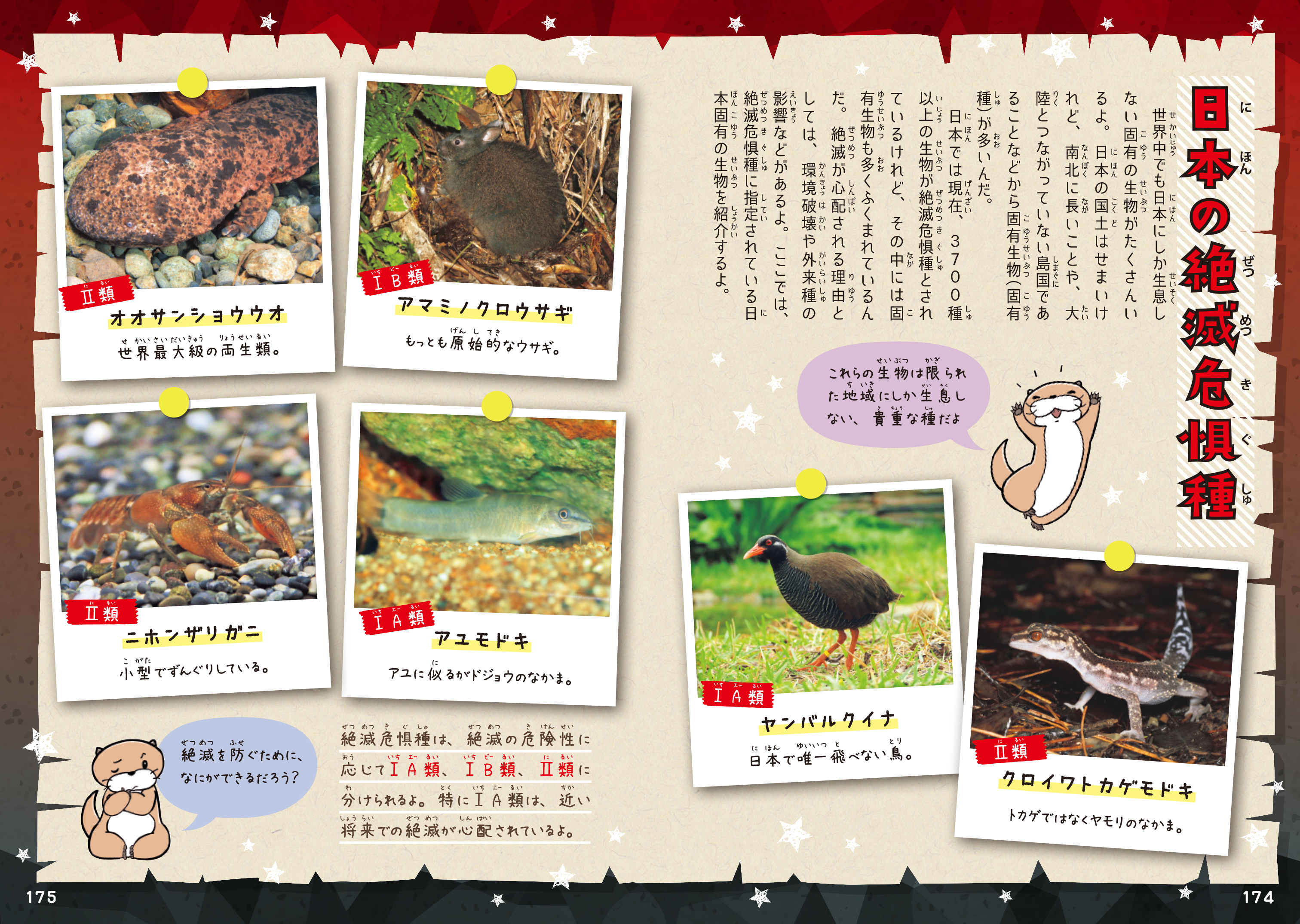 「日本の絶滅危惧種」紙面