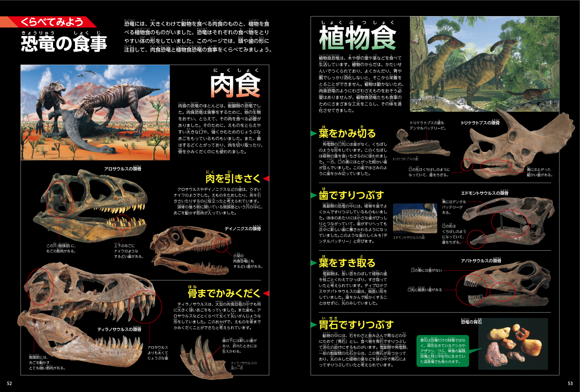 「恐竜の食事」紙面