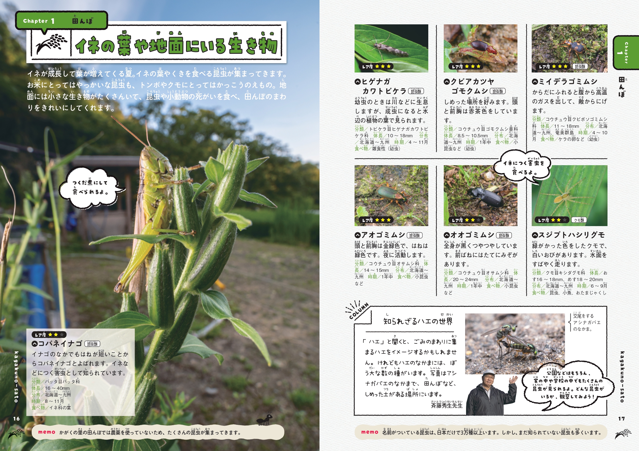 「TokyoBugBoysの法師人響さんが里で撮影した、とっておきの昆虫写真が満載」紙面