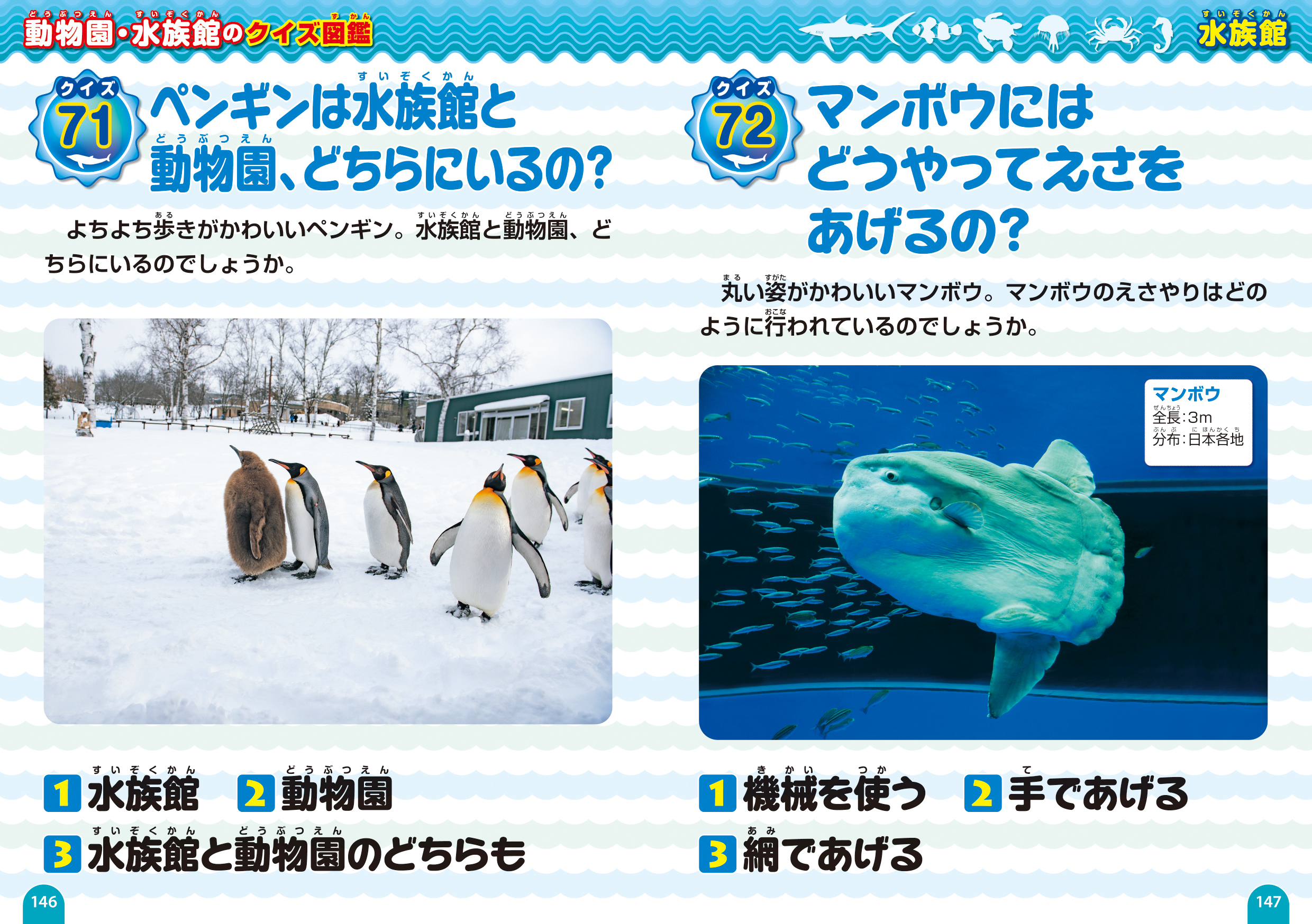 「ペンギンは水族館と動物園どちらにいるの」「マンボウにはどうやってえさをあげるの」紙面
