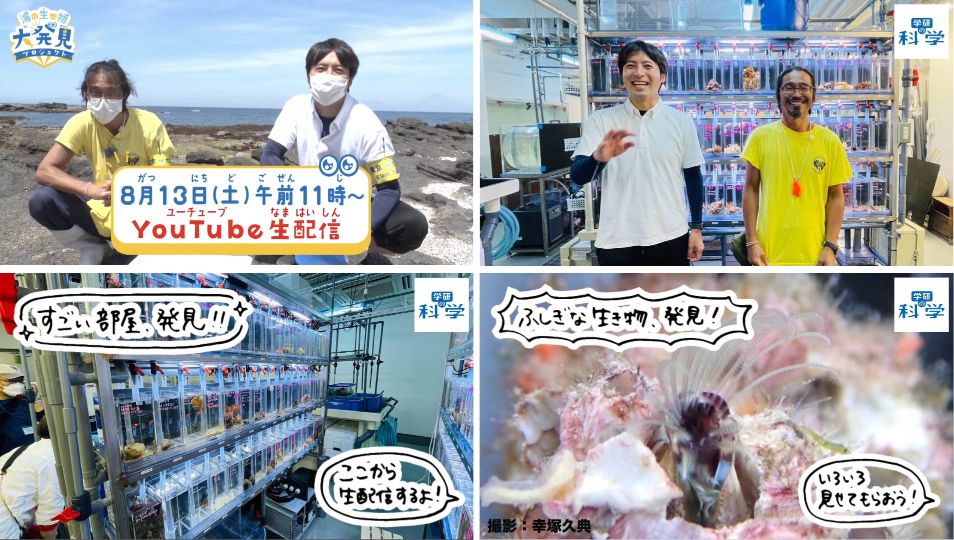 「東京大学三崎臨海実験所 水槽室から生配信」画像