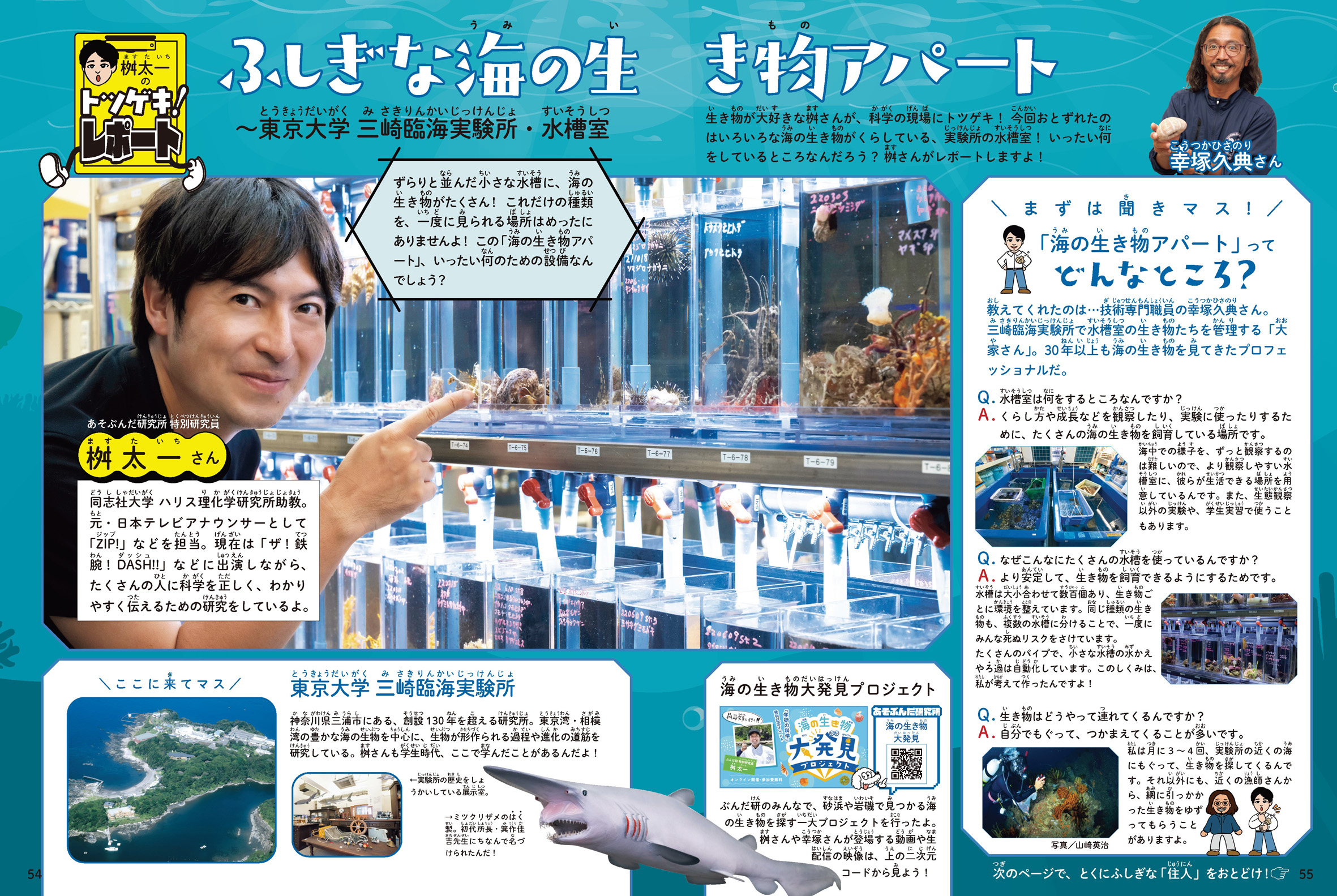 「同志社大学 桝太一さんが東京大学三崎臨海実験所でふしぎな海の生き物を取材」画像