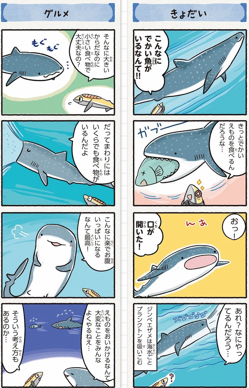 「ゆるゆるサメ図鑑」よりジンベエザメ　紙面