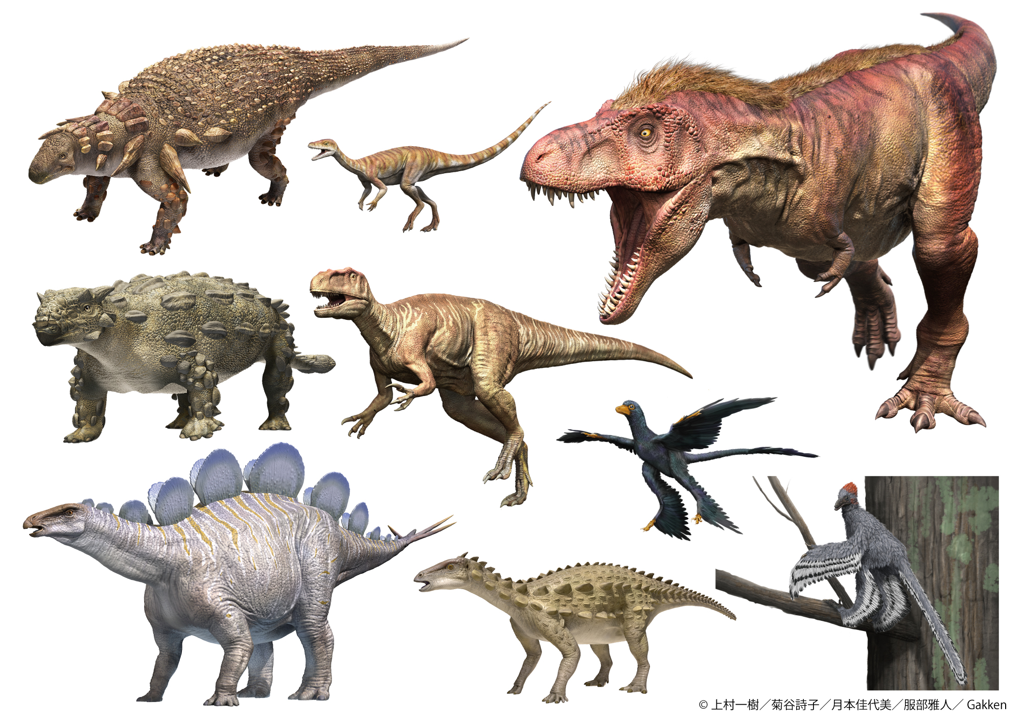 展示に登場する『学研の図鑑LIVE 恐竜新版』の復元画の抜粋　画像