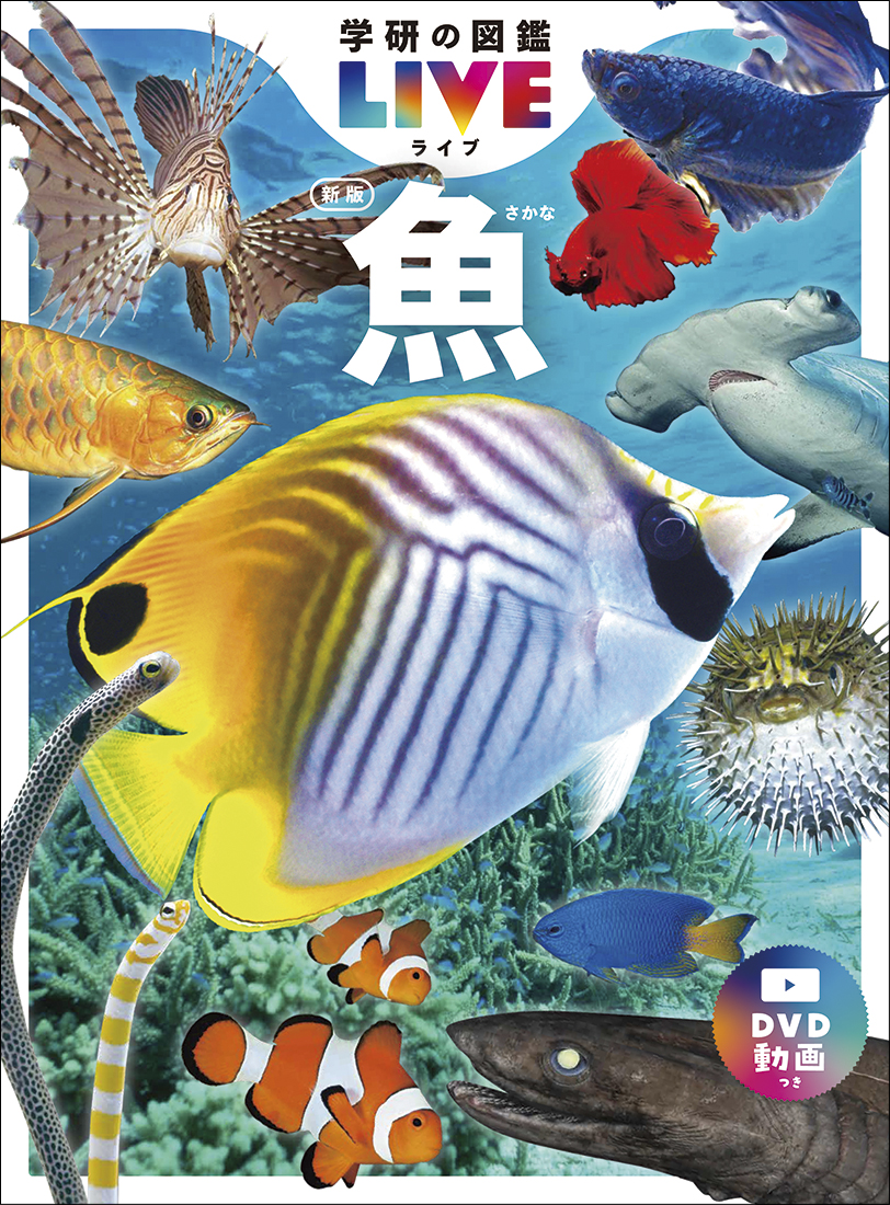 『学研の図鑑LIVE 魚 新版』書影