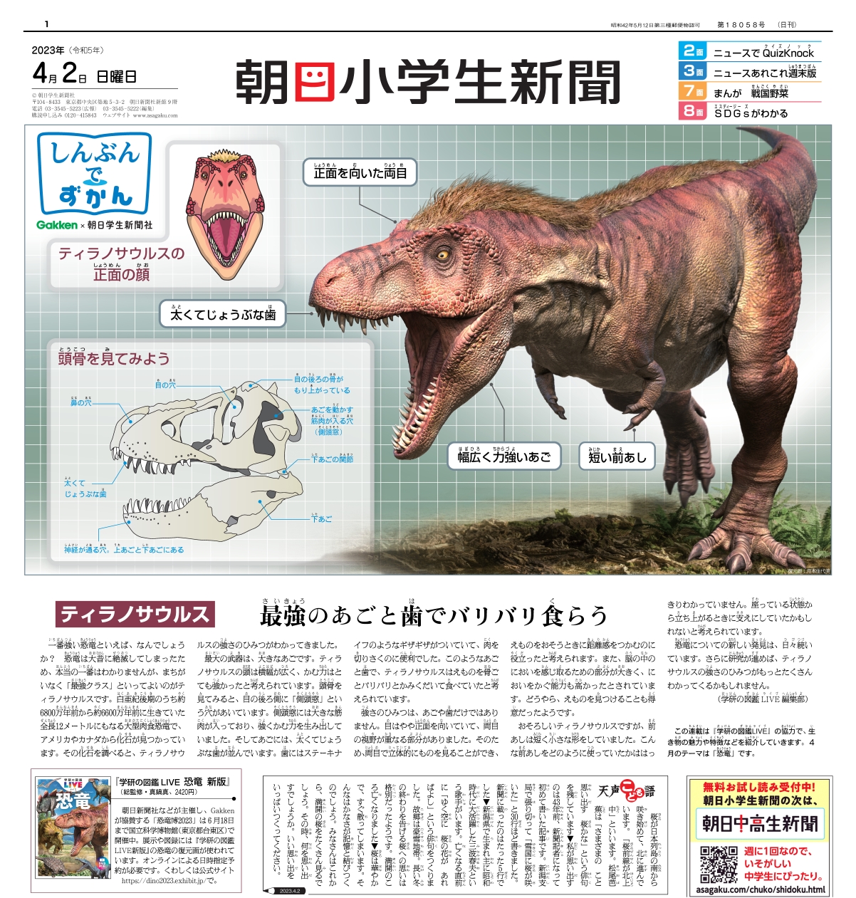 「記念すべき第1回はティラノサウルスを特集」紙面