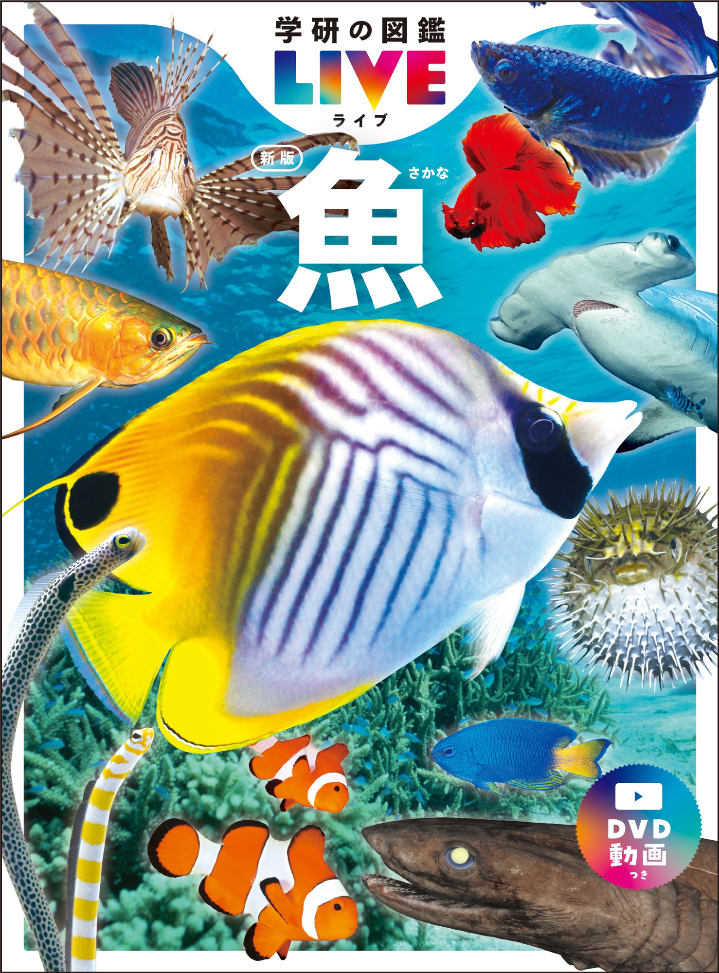 『学研の図鑑LIVE 魚 新版』書影