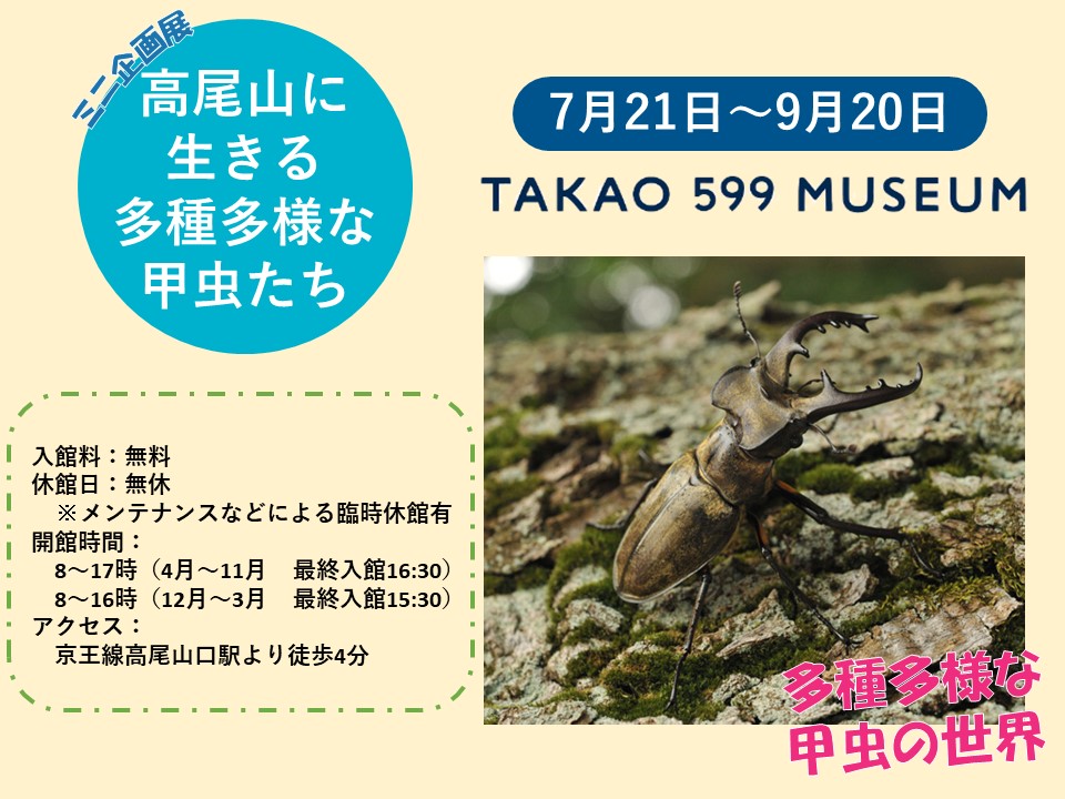 「TAKAO 599 MUSEUMミニ企画展」告知画像