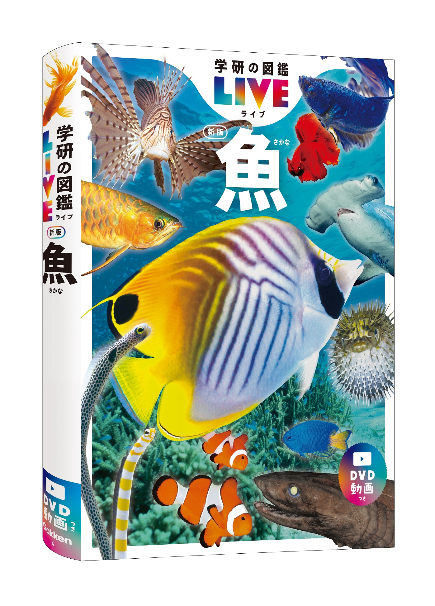 『学研の図鑑LIVE 魚 新版』書影