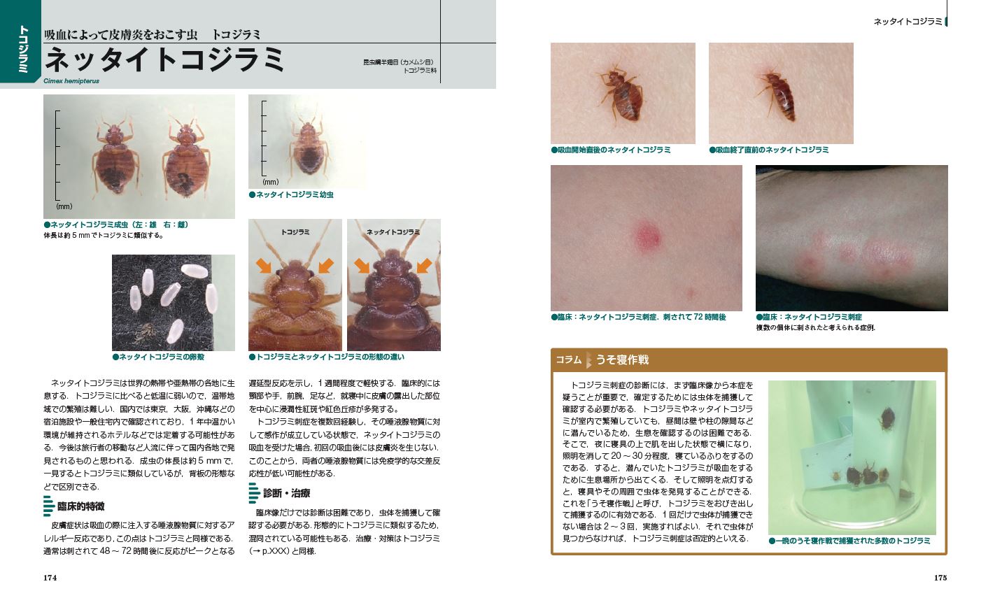 【裁断済】Dr.夏秋の臨床図鑑 虫と皮膚炎 改訂第2版