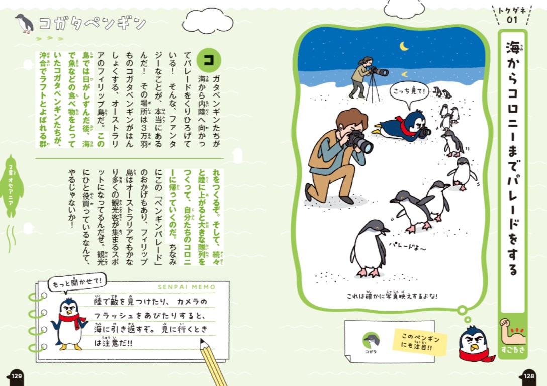 「２章　コガタペンギンの生態パート」紙面