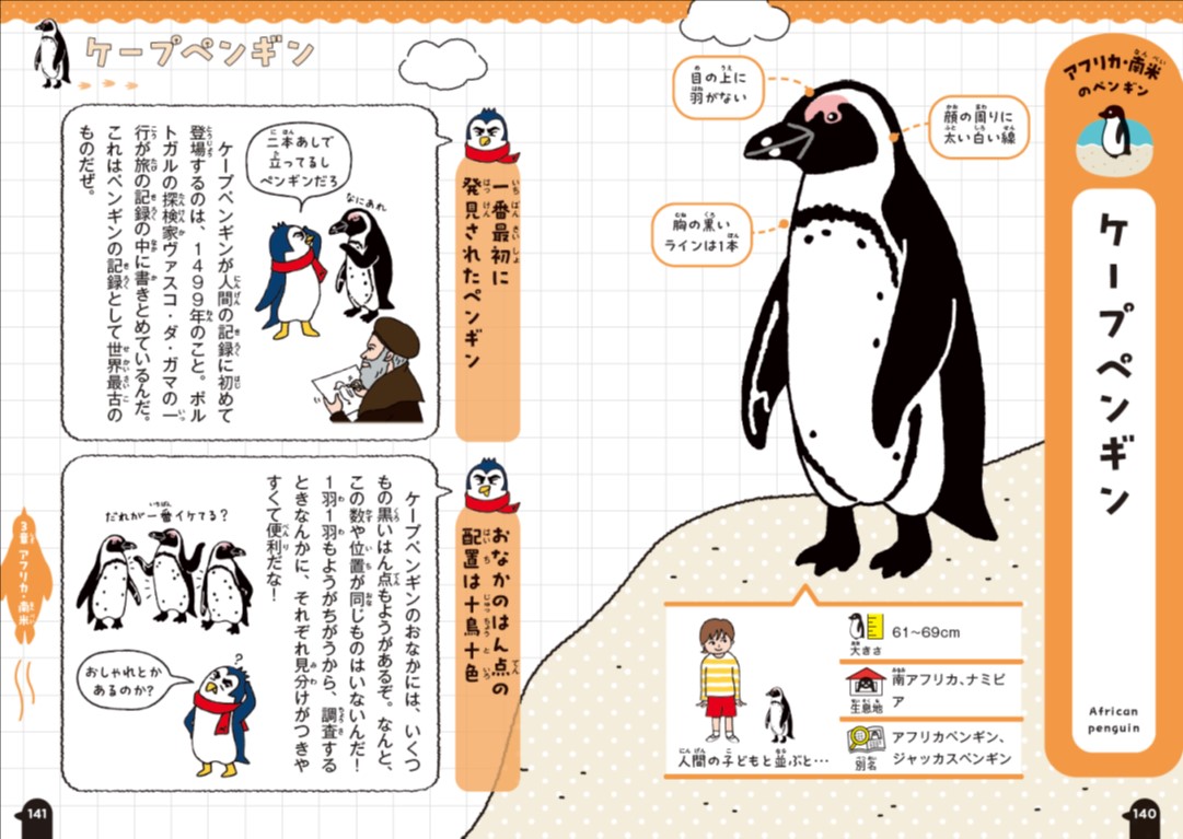 「３章　ケープペンギンの図鑑パート」紙面