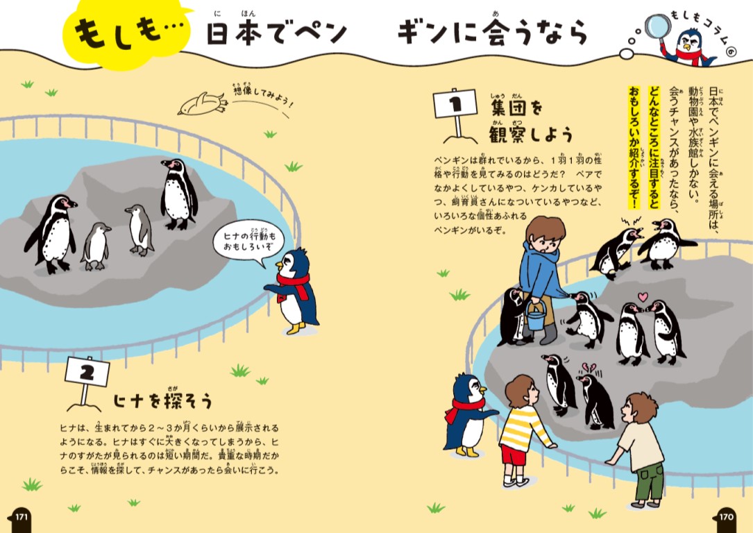 「動物園などでペンギンをもっと楽しく観察するポイントも紹介」紙面