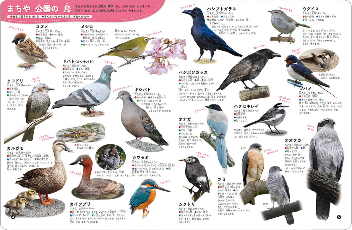 「きれいな写真で鳥たちの姿が確認できます」紙面
