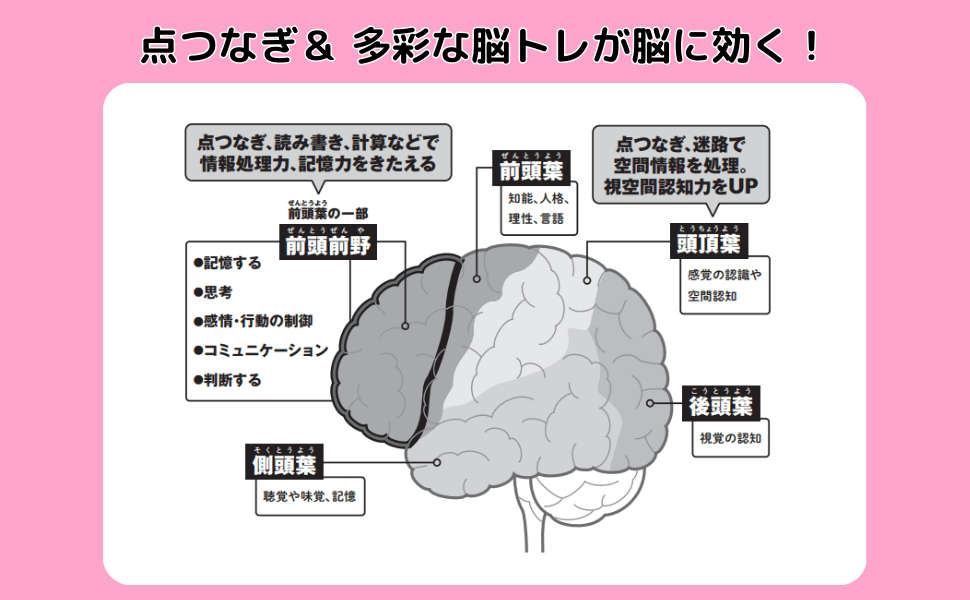 「点つなぎ＆多彩な脳トレが脳に効く」紙面