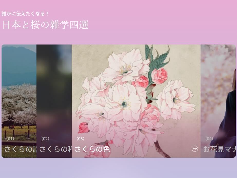「日本と桜の雑学四選」画像