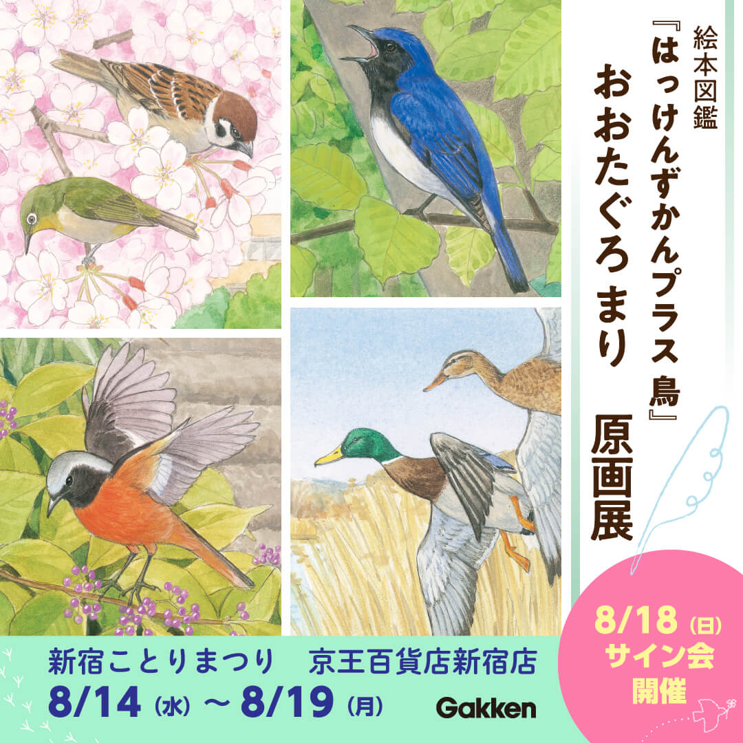 絵本図鑑『はっけんずかんプラス 鳥』おおたぐろまり原画展　告知画像