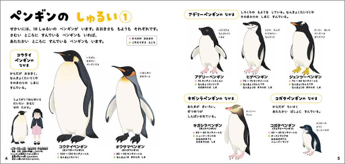 「ペンギン全18種の大きさや特徴を紹介。コウテイペンギンの背の高さは小学1年生とほぼ同じ。」紙面