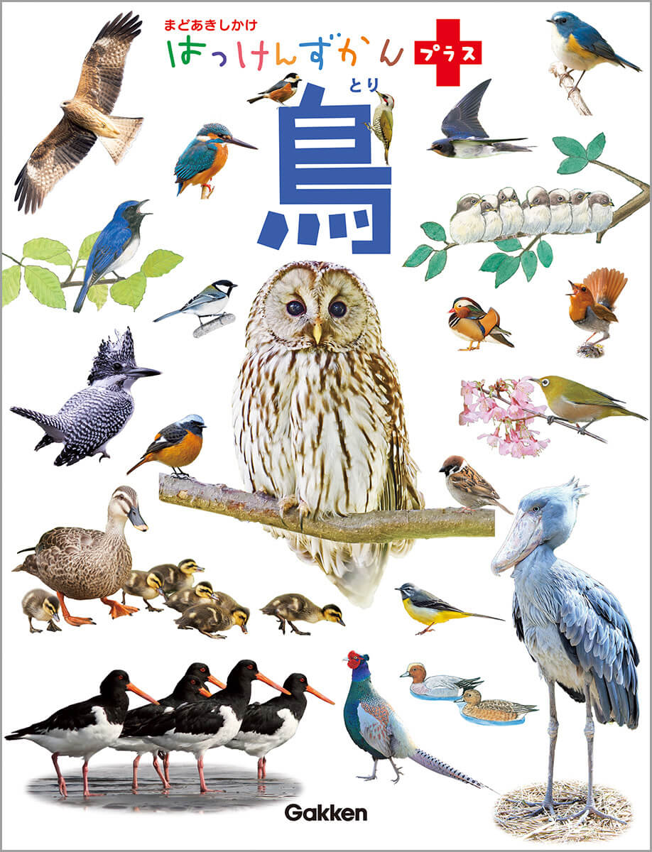 絵本図鑑『はっけんずかんプラス 鳥』書影