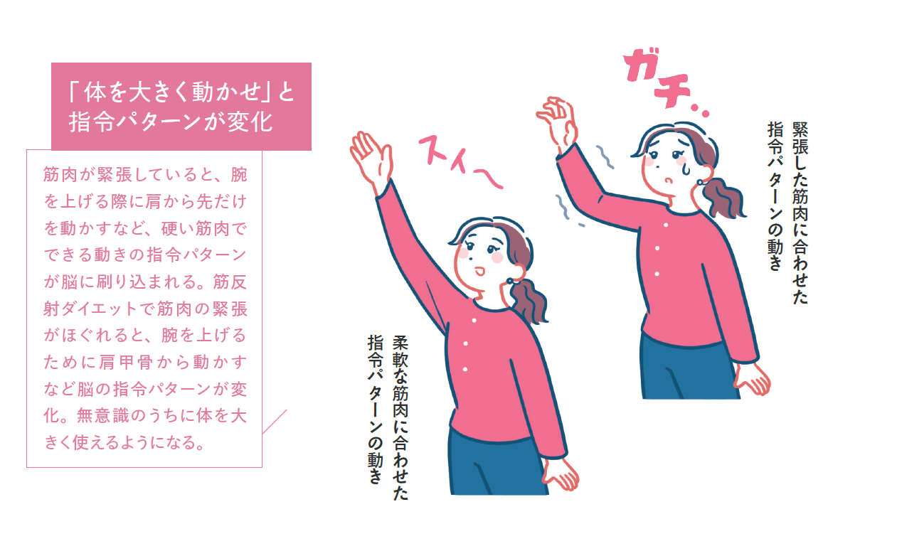 「筋反射ダイエットで筋肉を緩める動きを脳に記憶させることで、日常の動作もスムーズに！」紙面