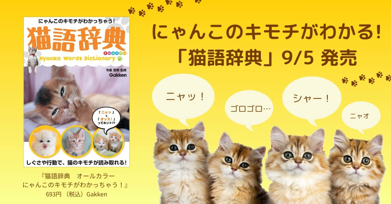 『猫語辞典　オールカラー　にゃんこのキモチがわかっちゃう！』告知画像