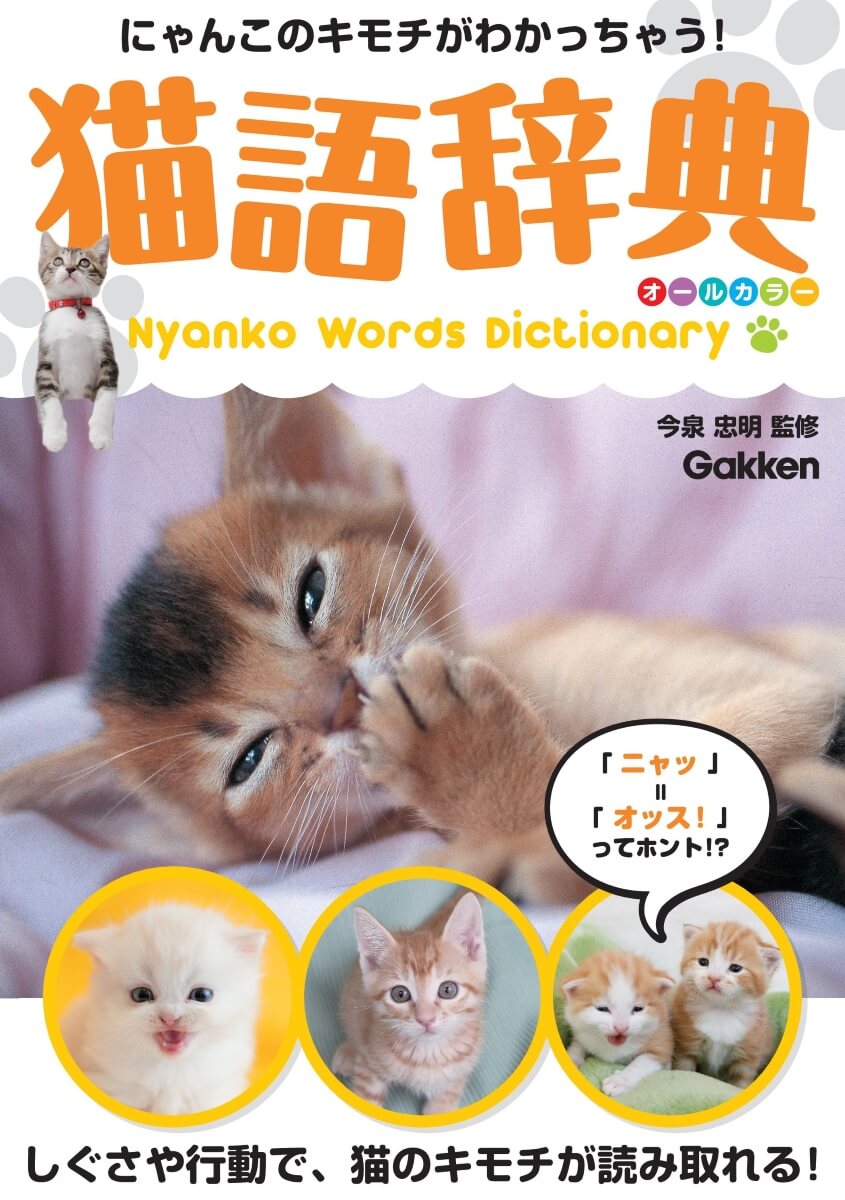 『猫語辞典　オールカラー　にゃんこのキモチがわかっちゃう！』書影