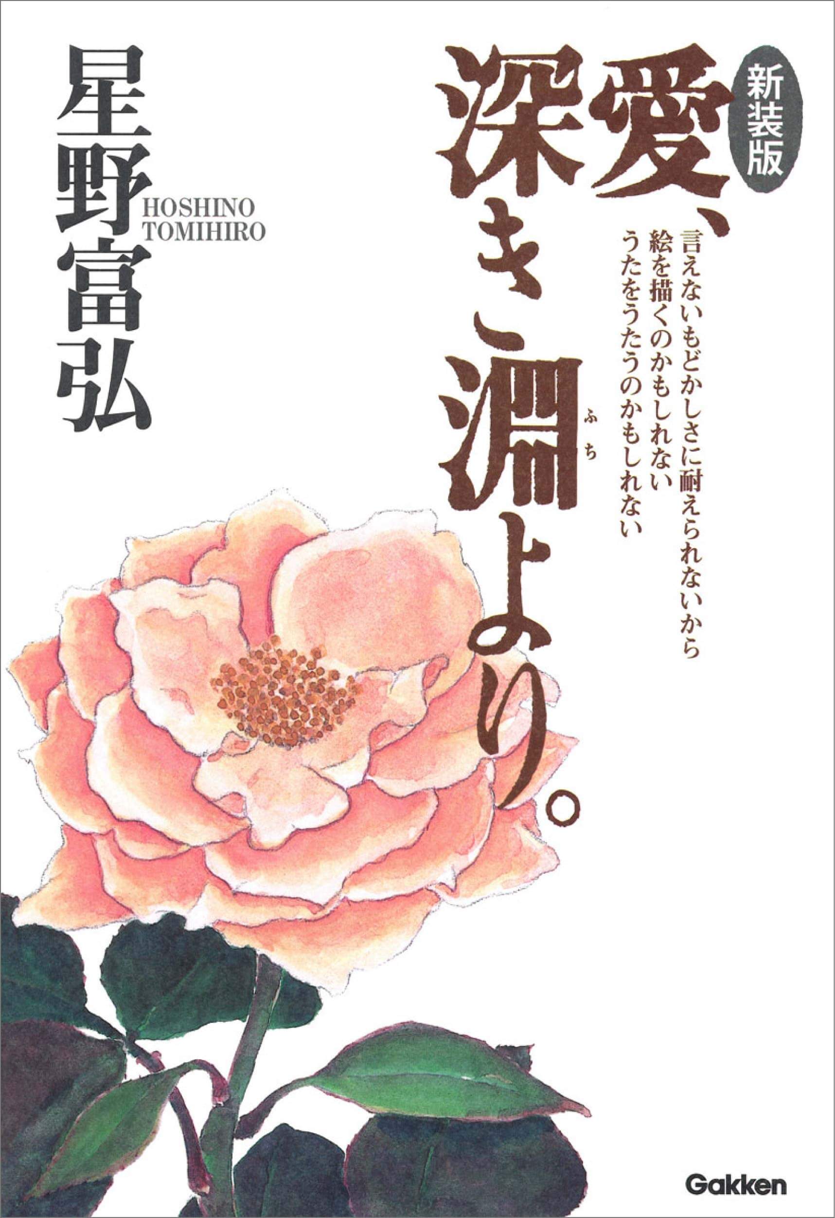 『新装版　愛、深き淵より。』書影