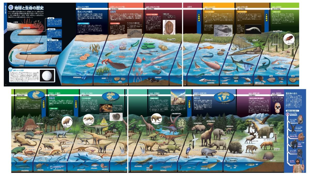 「地球と生命の歴史は、10ページを繋げたパノラマ年表で大特集！」紙面