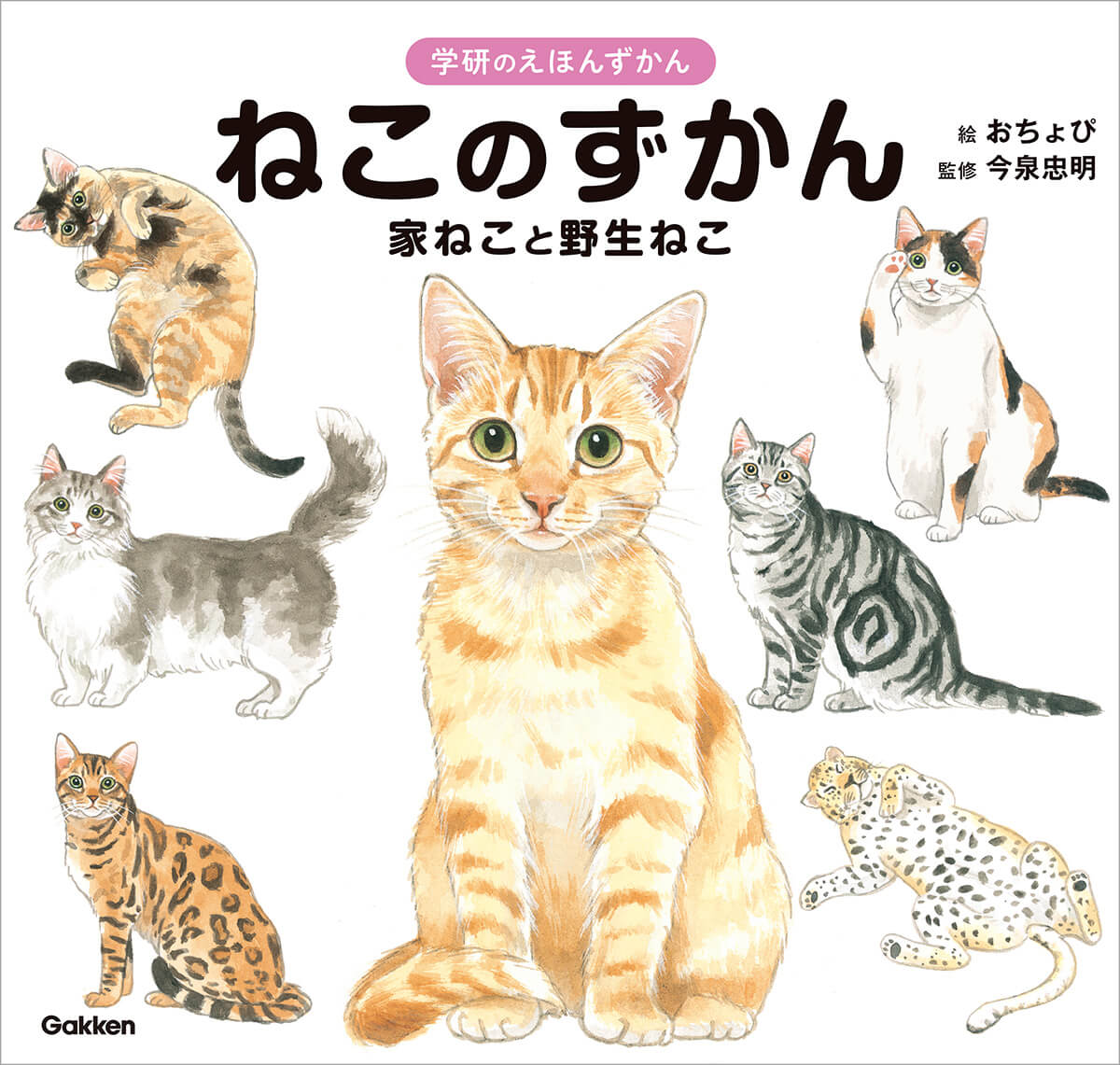 『ねこのずかん 家ねこと野生ねこ』書影