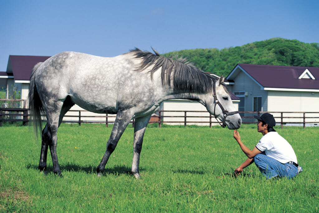 武豊騎手推薦！ オグリキャップファンのバイブルが復刻版として