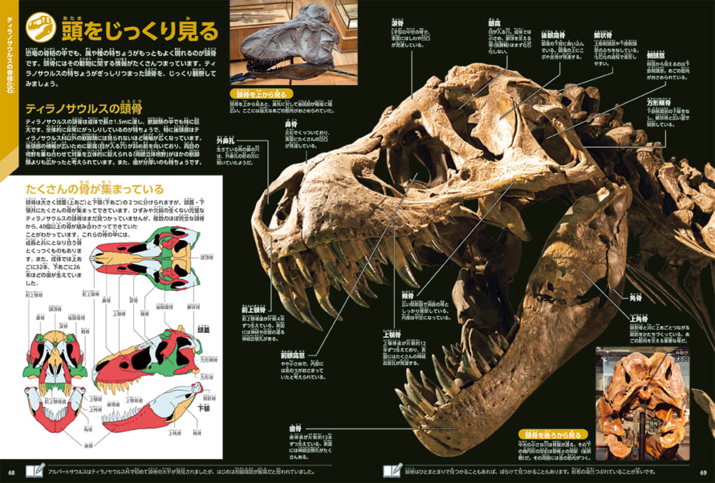 学研の図鑑LIVEエクストリーム ティラノサウルス』『サメ』イラスト