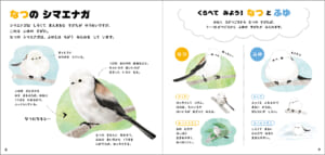 1冊まるごとシマエナガ！ 可愛すぎる『シマエナガのずかん』予約受付中