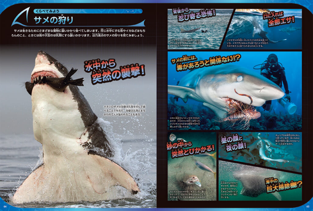 学研の図鑑LIVEエクストリーム ティラノサウルス』『サメ』イラスト