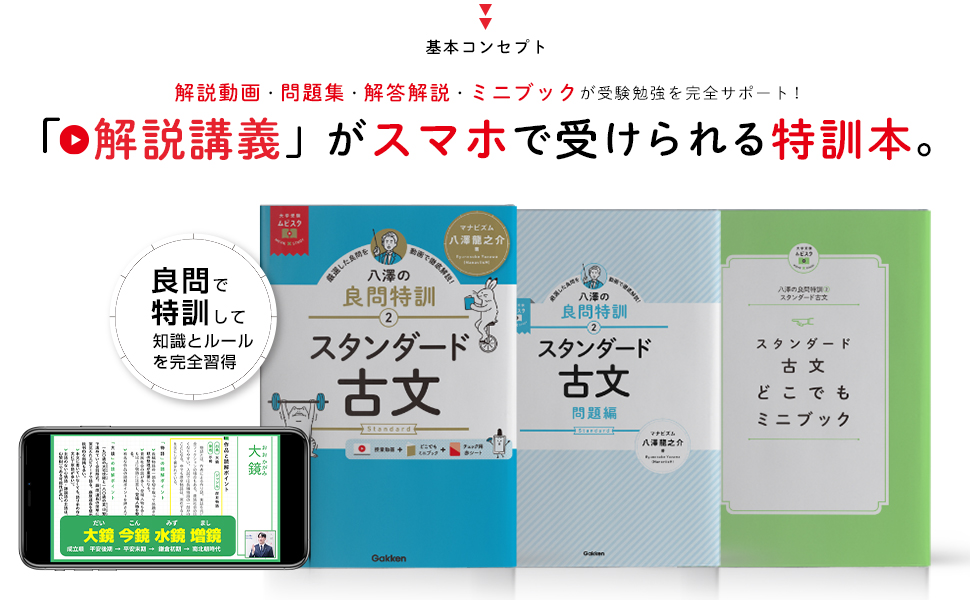 大学受験ムビスタ 良問特訓シリーズ」に、「ベーシック」から一段階