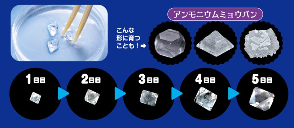 5種類の結晶が育てられる化学実験教材！ LED台座つき【予約受付中