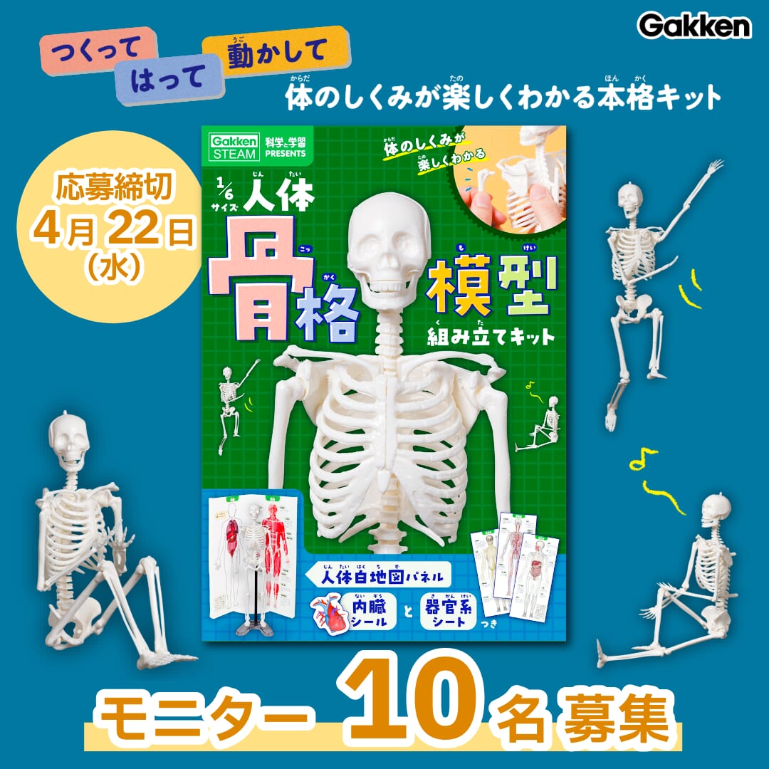 モニター10名様募集！】パズル感覚で体のつくりがわかる✨『1/6サイズ