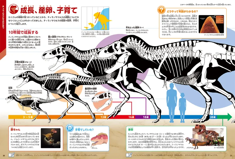 入賞作品発表！】学研の図鑑LIVEエクストリーム『ティラノサウルス