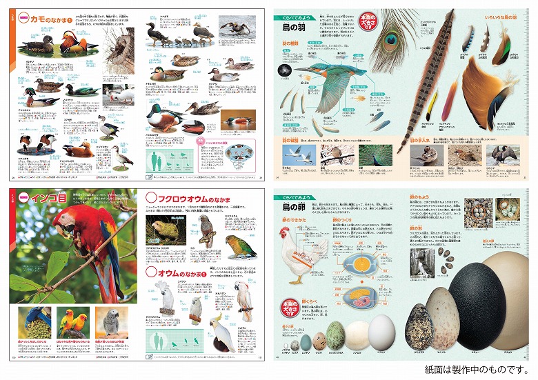 学研の図鑑LIVE」『鳥』『岩石・鉱物・化石』予約開始（6/25発売