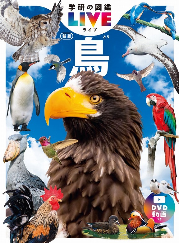 学研の図鑑LIVE」『鳥』予約開始（6/25発売） | （株）Gakken公式ブログ
