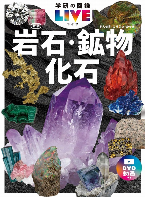 学研の図鑑LIVE」『岩石・鉱物・化石』予約開始（6/25発売） | （株