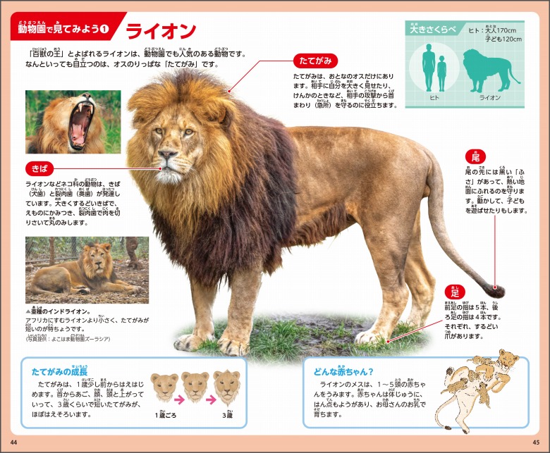 ライオンおまとめページ 学研の図鑑LIVEポケット新版「昆虫」「動物」発売前モニター40名様募集