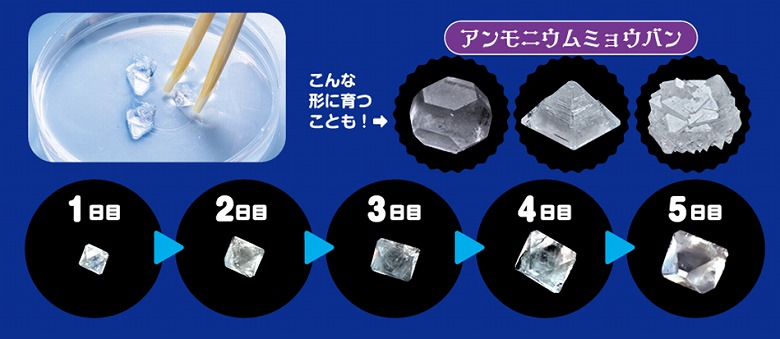 5種類の結晶が育てられる化学実験キット、新発売！ 自由研究にも