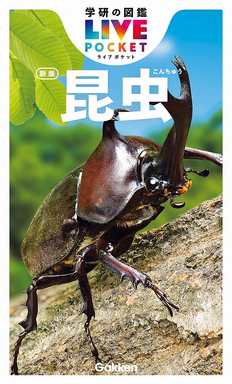 持ち歩きにぴったり！ ポケットサイズの昆虫・動物図鑑が誕生！ | （株