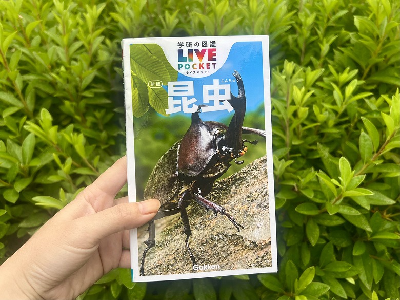 持ち歩きにぴったり！ ポケットサイズの昆虫・動物図鑑が誕生！ | （株