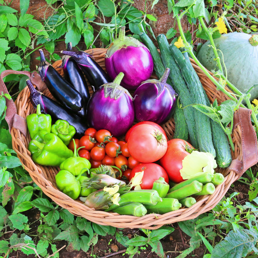 野菜だより』編集長セレクト 
